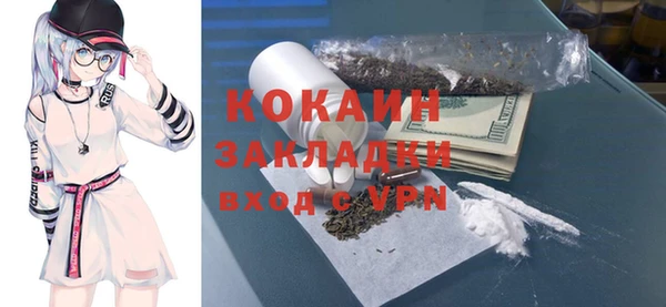 шишки Балабаново