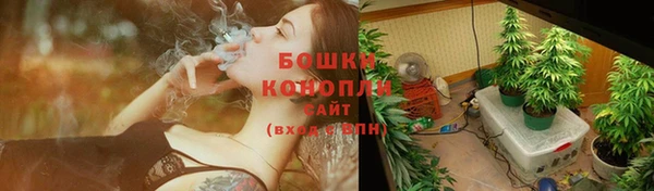 шишки Балабаново