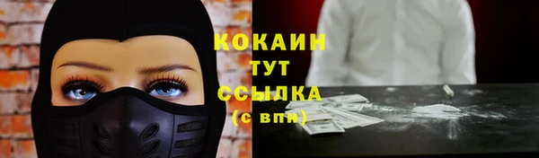 шишки Балабаново