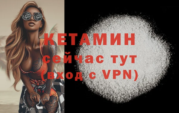 шишки Балабаново