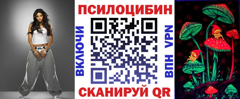 MEGA tor  где купить наркоту  Закаменск  Галлюциногенные грибы Psilocybe 